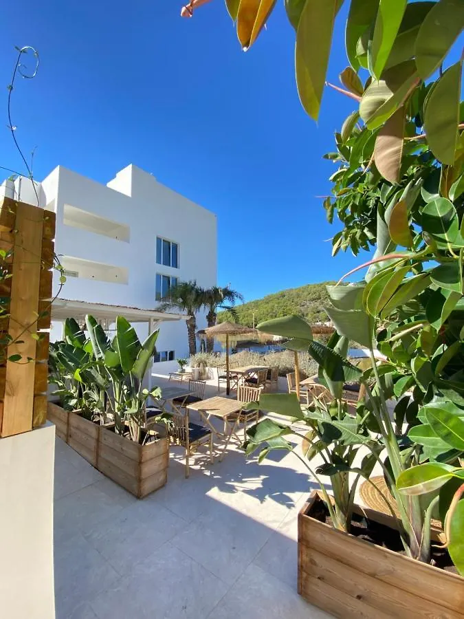 The Olive Boutique Suites & Spa Cala Llonga  Apartment
